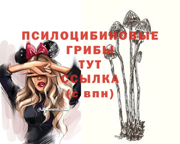 PSILOCYBIN Алзамай