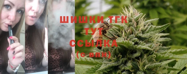 PSILOCYBIN Алзамай