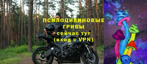 PSILOCYBIN Алзамай